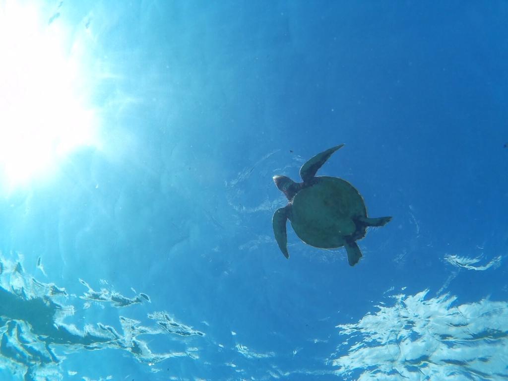 Ocean Villa Honey Miyakojima  المظهر الخارجي الصورة